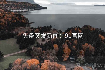头条突发新闻：91官网