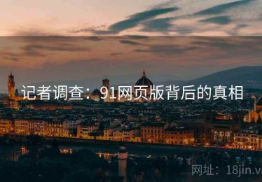记者调查：91网页版背后的真相