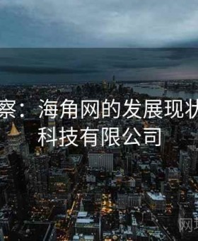 新闻观察：海角网的发展现状，海角科技有限公司