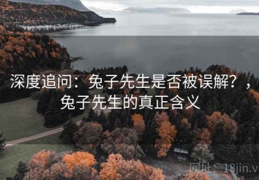 深度追问：兔子先生是否被误解？，兔子先生的真正含义