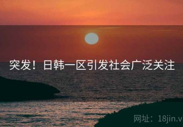 突发！日韩一区引发社会广泛关注