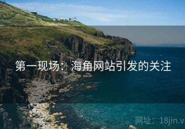 第一现场：海角网站引发的关注