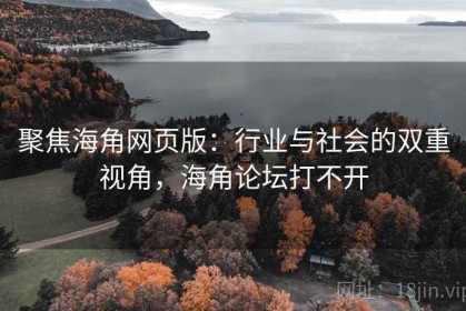聚焦海角网页版：行业与社会的双重视角，海角论坛打不开