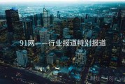 91网——行业报道特别报道