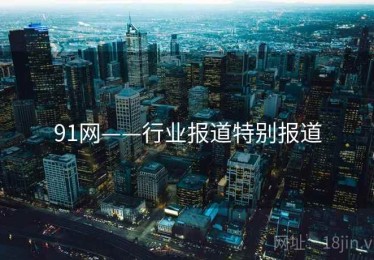 91网——行业报道特别报道