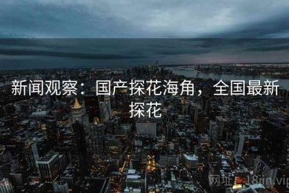 新闻观察：国产探花海角，全国最新探花
