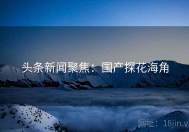 头条新闻聚焦：国产探花海角