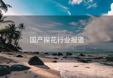 国产探花行业报道