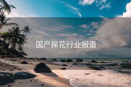 国产探花行业报道