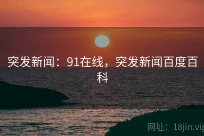 突发新闻：91在线，突发新闻百度百科