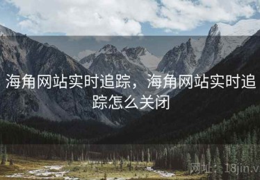 海角网站实时追踪，海角网站实时追踪怎么关闭