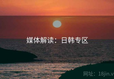 媒体解读：日韩专区