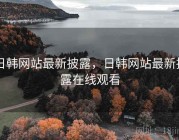 日韩网站最新披露，日韩网站最新披露在线观看