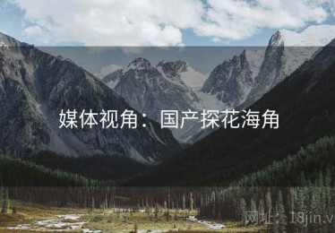 媒体视角：国产探花海角