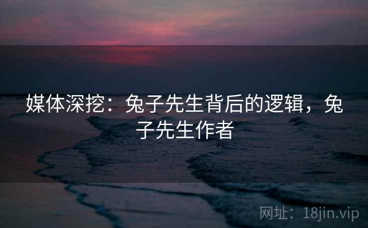 媒体深挖：兔子先生背后的逻辑，兔子先生作者