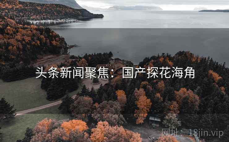 头条新闻聚焦：国产探花海角