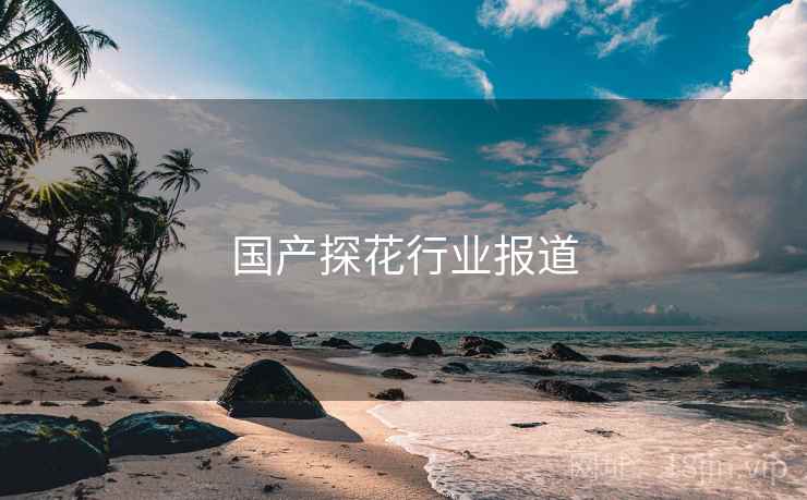 国产探花行业报道