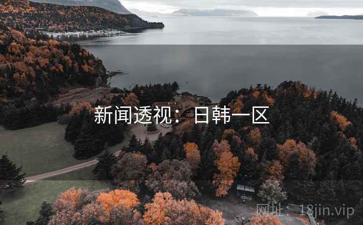 新闻透视：日韩一区